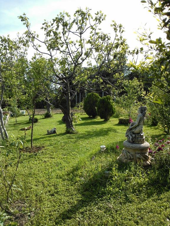 Apartments Lana Starigrad Paklenica Eksteriør billede