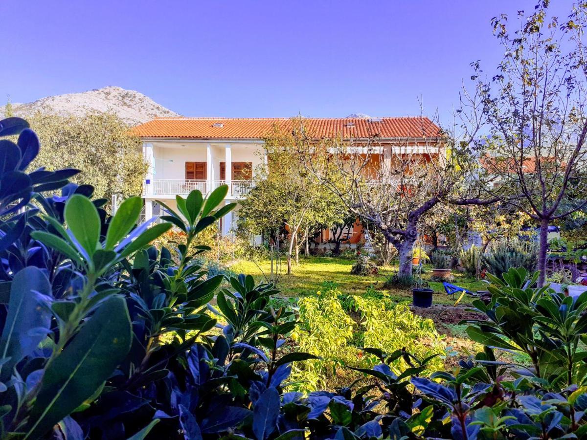 Apartments Lana Starigrad Paklenica Eksteriør billede